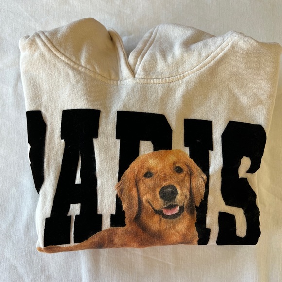 Zara kids Golden Retriever Paris Hoodie size 9 - Picture 13 of 13